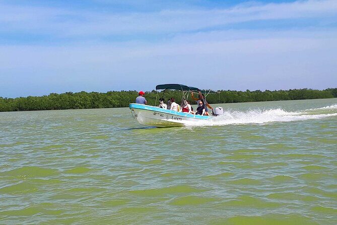 Cancun tour Las Coloradas Pink Lagoon + Rio Lagartos Tour - Pickup Times and Getting to the Start Point