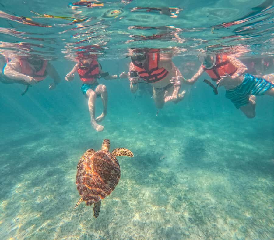 Cancun: Tulum Ruins, Akumal Turtles, Cenote & Caves Tour - Tulum ruins: the early start that actually changes your photos