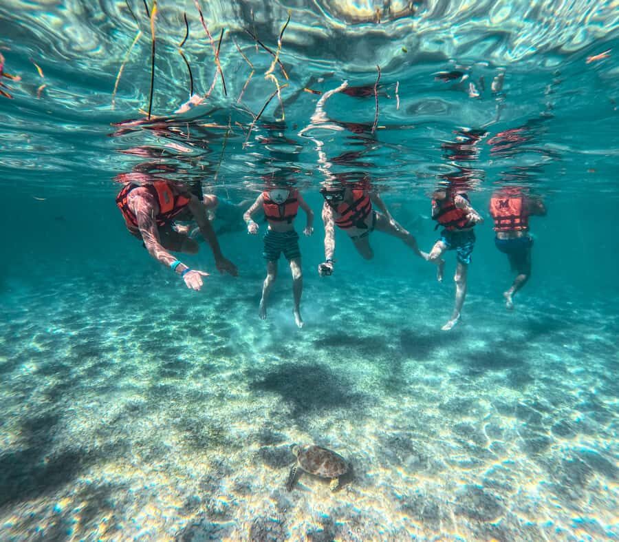 Cancun: Tulum Ruins, Akumal Turtles, Cenote & Caves Tour - Akumal turtles: snorkeling that follows the rules
