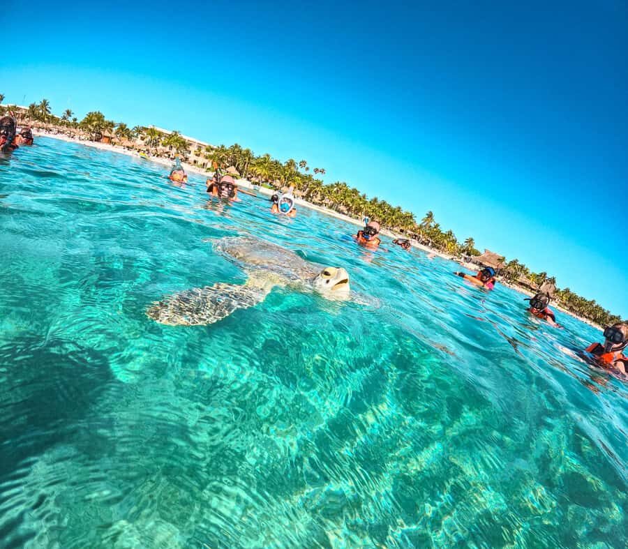 Cancun: Tulum Ruins, Akumal Turtles, Cenote & Caves Tour - Nohoch Nah Chich cenote: cave time and that quiet feeling