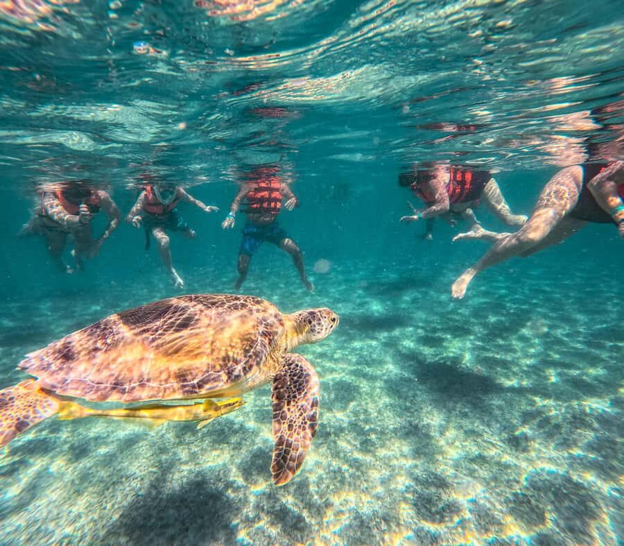 Cancun: Tulum Ruins, Akumal Turtles, Cenote & Caves Tour - Lunch and break time: buffet lunch plus practical pacing