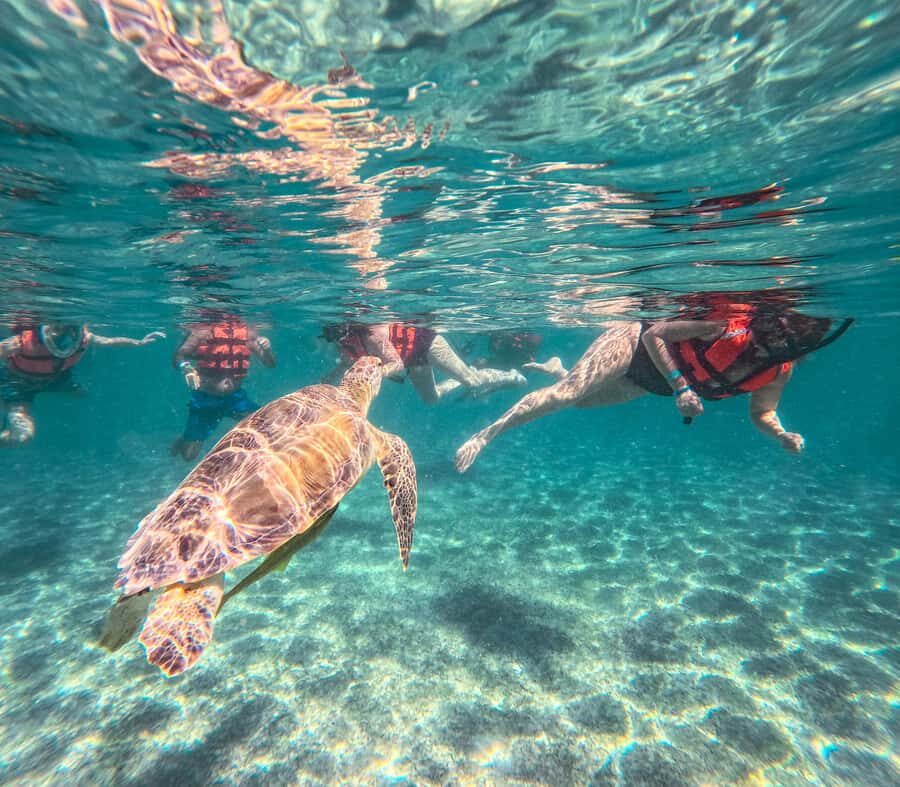Cancun: Tulum Ruins, Akumal Turtles, Cenote & Caves Tour - Price and value: what you’re really paying for