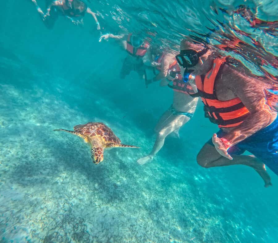 Cancun: Tulum Ruins, Akumal Turtles, Cenote & Caves Tour - Mayan chocolate and tequila tasting: small pause, real flavor