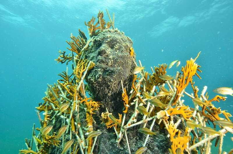 Cancún: Underwater Museum & Reef for Certified Scuba Divers - Key Highlights at a Glance