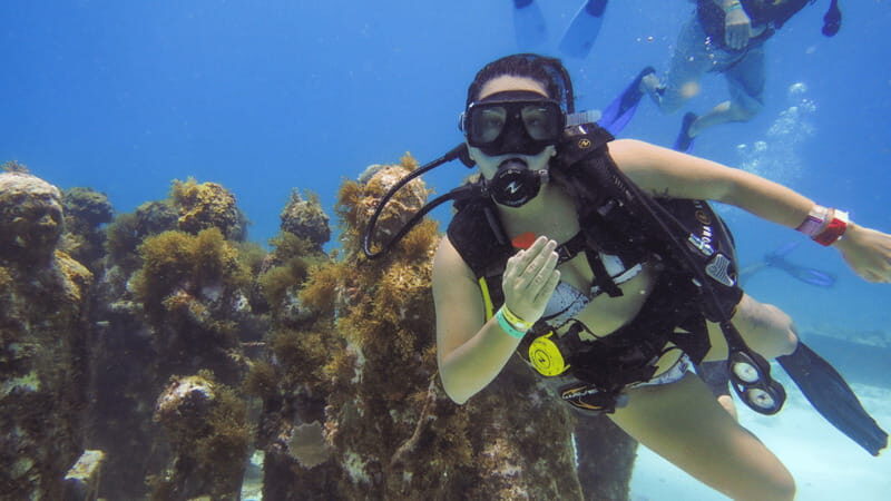 Cancún: Underwater Museum & Reef for Certified Scuba Divers - Reef Preservation and Why That $20 Fee Matters