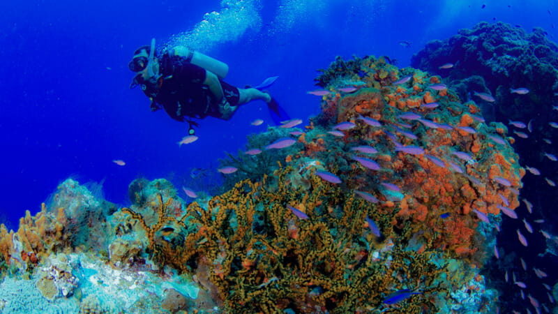 Cancún: Underwater Museum & Reef for Certified Scuba Divers - How the 4.5 Hours Usually Flows With Two Tanks