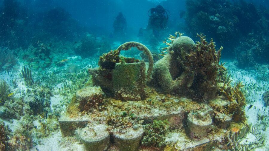 Cancún: Underwater Museum & Reef for Certified Scuba Divers - Instructor Support: What “Included” Really Means Underwater