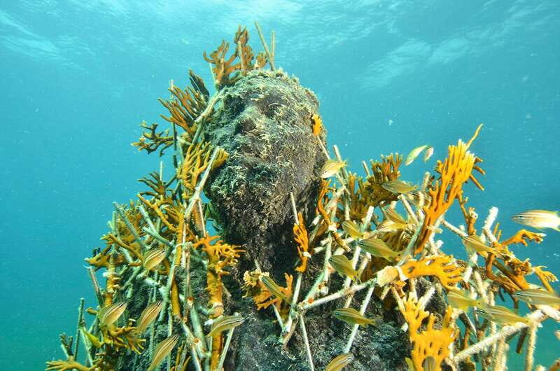 Cancún: Underwater Museum & Reef for Certified Scuba Divers - The Cancun Underwater Museum: Statues You Swim Alongside