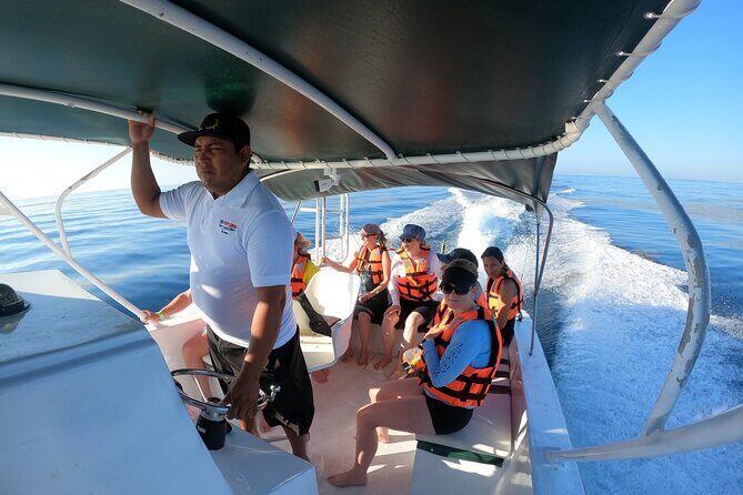 Cancun Whale Shark Experience with Snorkel & Transportation - Whale Shark Watching Time: How the Two-Swim Plan Works