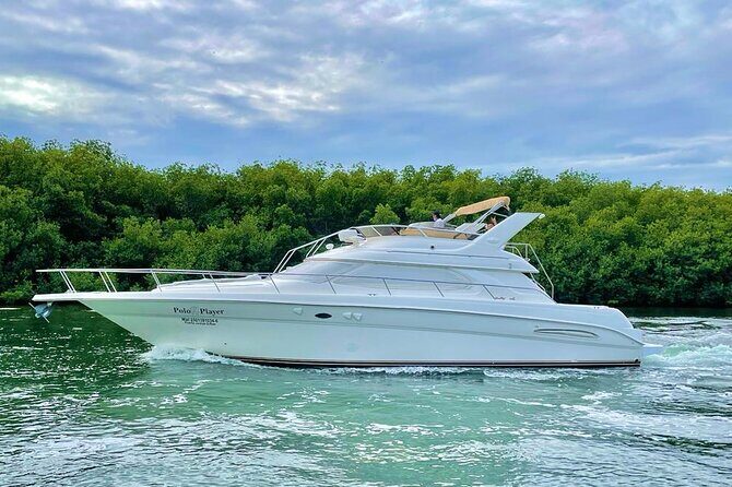 Cancun Yacht Tour - SEARAY YACHT 46 FT GREAT FOR SUNSET 15 PEOPLE MAX 25P9 - Crew and service: the part that turns a trip into a good story
