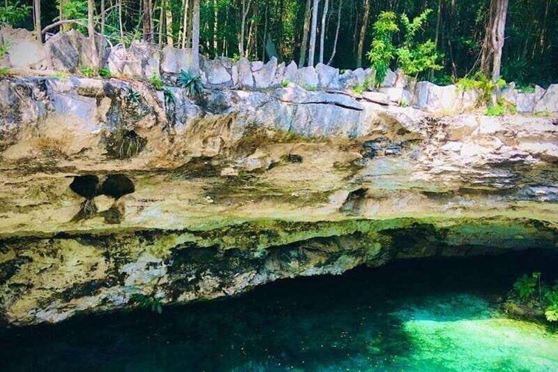 Casa Tortuga Park: Cenote Tour - How snorkeling, swimming, and marine life viewing play out