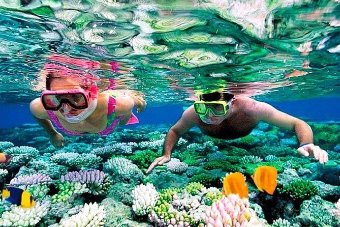 Catamaran adventure to Isla Mujeres with Snorkel,Buffet,Open Bar and Beach Club - Lunch Buffet at the Beach Club: Real Food Beats Snack Boxes