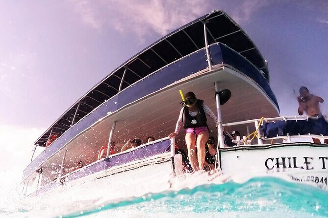 Catamaran Excursion + Open bar + Snorkeling at El Cielo - Snorkeling Gear, Certified Guides, and Comfort on a Catamaran