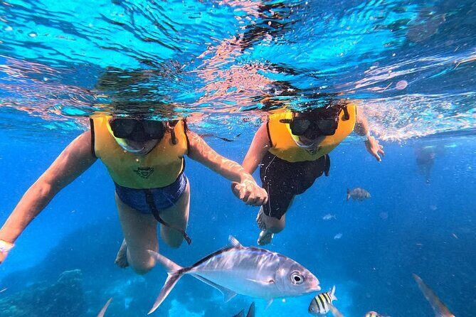 Catamaran in Cozumel with snorkeling at El Cielo and open Bar - El Cielo starfish sanctuary swim: watching close without rushing