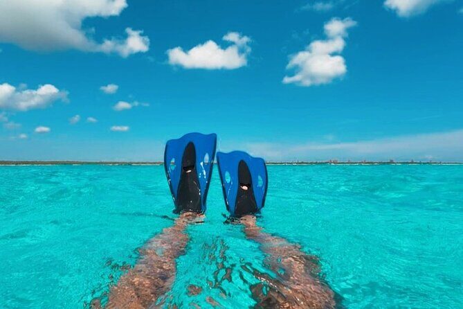 Catamaran in Cozumel with snorkeling at El Cielo and open Bar - Double-deck comfort, onboard music, and entertainers
