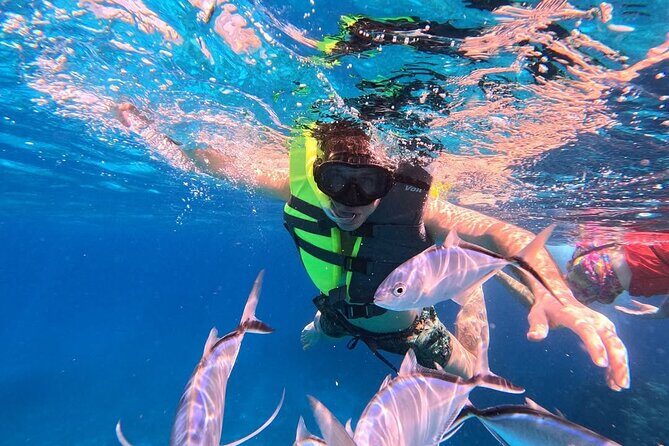Catamaran in Cozumel with snorkeling at El Cielo and open Bar - Playa El Cielo snorkeling: 35 minutes of real water time