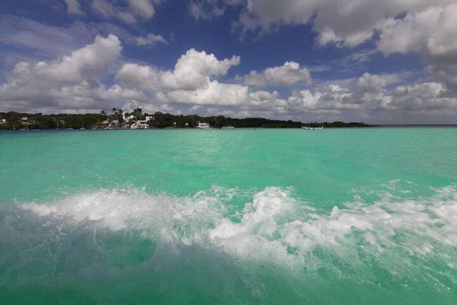 Catamaran party Isla Mujeres with drinks & lunch - Playa Norte Beach Club Lunch: Where You Reset for Island Time