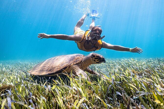 Catamaran Sailing to Isla Mujeres From Cancun - The Snorkel Stop at the Coral Reef Reserve: Fun, But Know the Limits