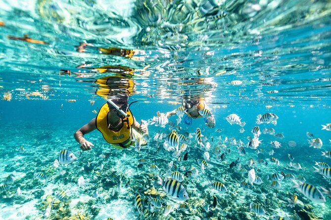 Catamaran Sailing to Isla Mujeres From Cancun - IceBar Beach Lunch (When It’s Included) and What to Expect