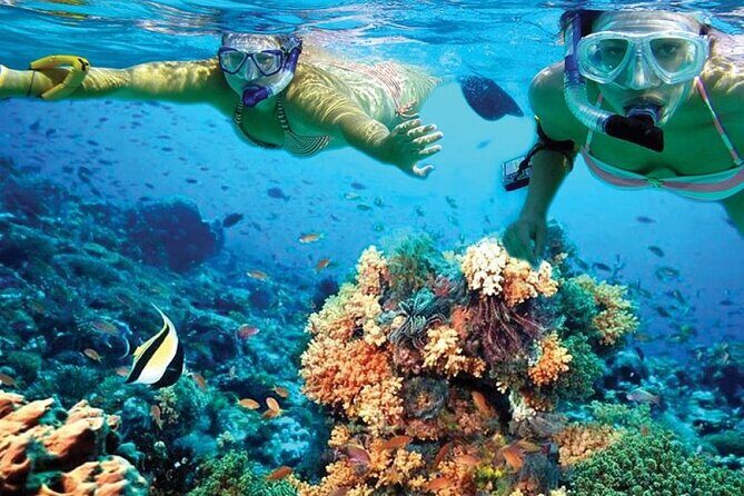 Catamaran Sailing to Isla Mujeres with Snorkeling, Lunch & Open Bar included - Is this a good fit for families, couples, and first-timers?