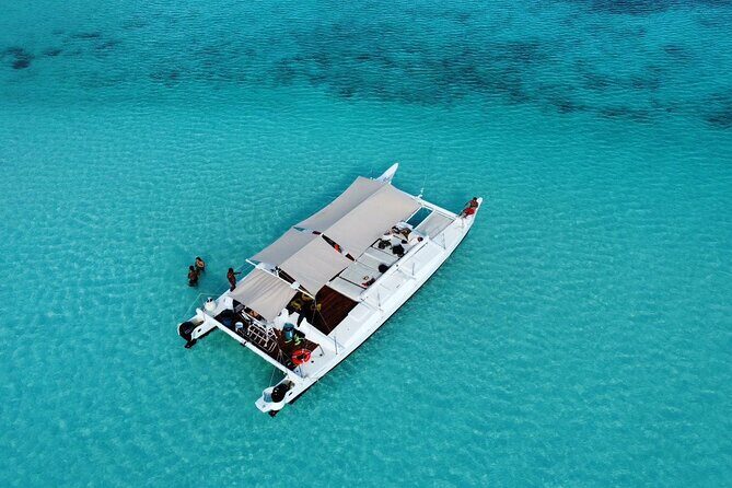 Catamaran Snorkeling to El Cielo and The Money Bar Beach Club - Quick hits before you go