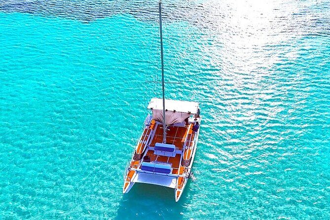 Catamaran Snorkeling to El Cielo and The Money Bar Beach Club - El Cielo: shallow-water snorkeling and the starfish “wow”