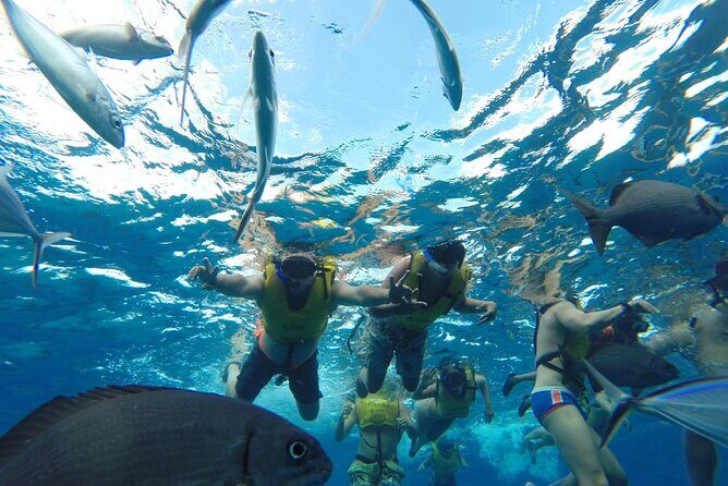 Catamaran Snorkeling to El Cielo and The Money Bar Beach Club - The Money Bar and onboard vibe: drinks, snacks, and a small-group feel