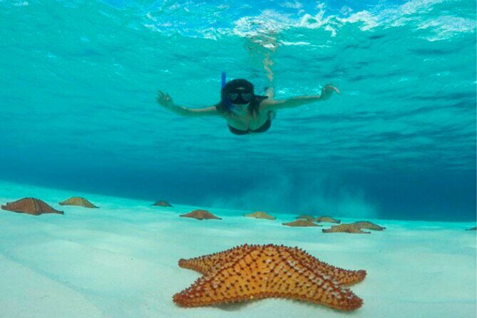 Catamaran Snorkeling to El Cielo and The Money Bar Beach Club - Timing: how long it takes and why cruise ships need caution