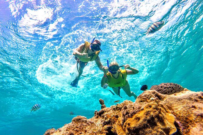 Catamaran Snorkeling to El Cielo and The Money Bar Beach Club - Price and value: what $84.99 covers (and the usual add-ons)