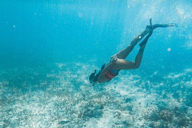 Catamaran Tour to Isla Mujeres Cancun - Stop 3: Beach Club Lunch Buffet and North Beach Swim