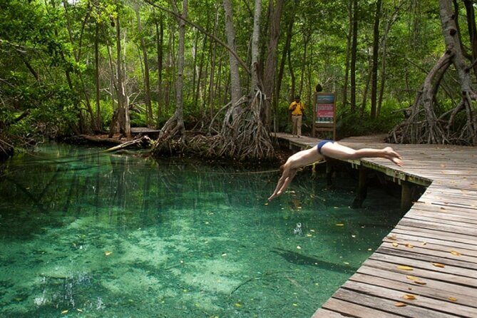 Celestun Beach and Mangrove Boat Ride from Merida - Wildlife expectations: flamingos are likely, but not guaranteed