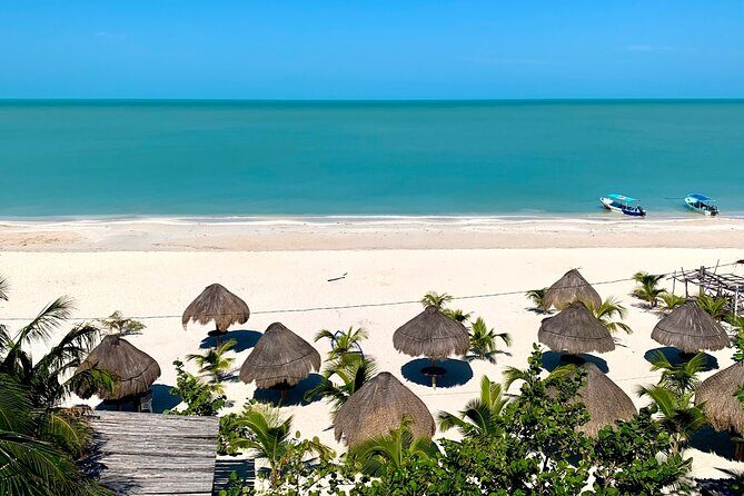 Celestun Beach and Mangrove Boat Ride from Merida - Who this tour suits best (and who should skip it)