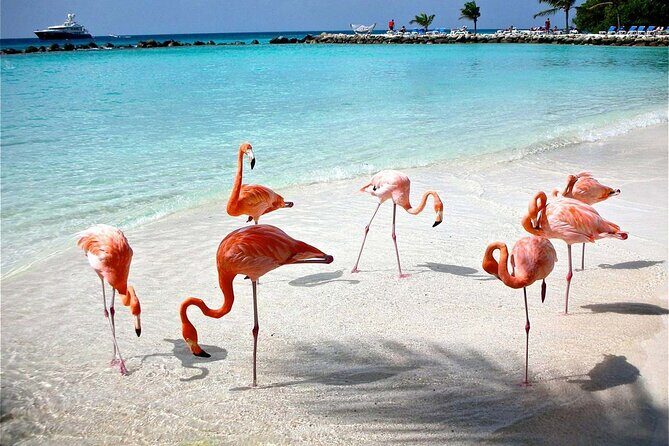 Celestun Beach and Mangrove Boat Ride from Merida - Should you book this Celestún beach and mangrove day trip from Mérida?