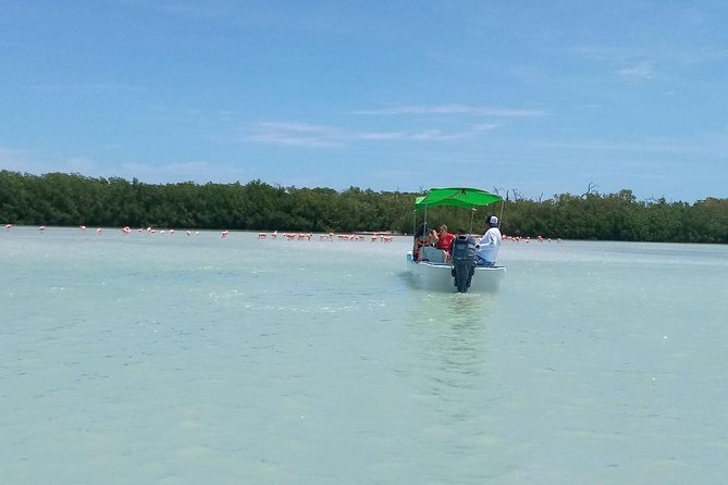 Celestun Biosphere Reserve Tour from Merida - Playa Norte Celestún: Swim Time, Beach Vibes, and the Food Reality