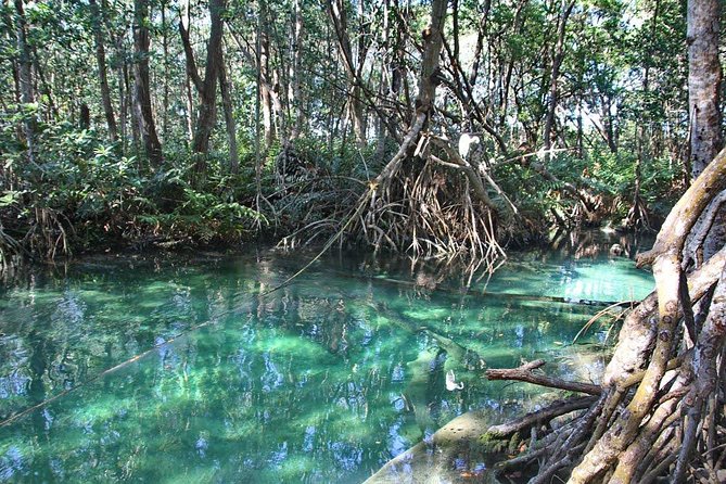 Celestun Biosphere Reserve Tour from Merida - Price and Value: Is $165 a Good Deal for Celestún?