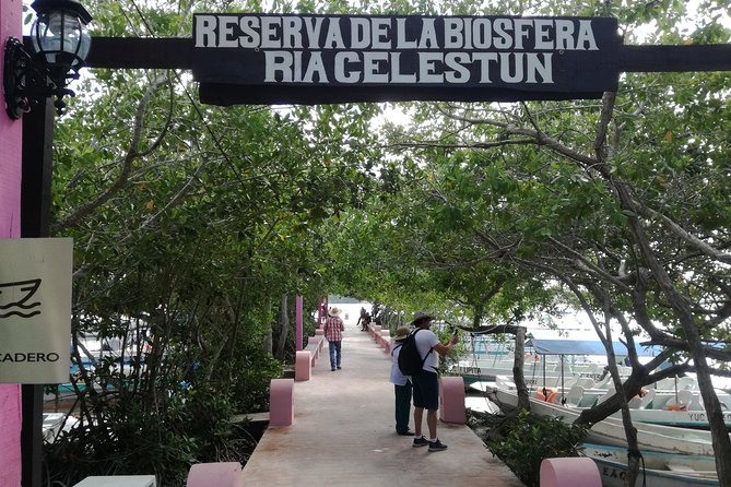 Celestun Biosphere Reserve Tour from Merida - Ria Celestún Reserve Time on Land: How to Use Your Free Hours