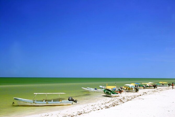 Celestun Nature Reserve Flamingo Tour-Boat to Flamingo Paradise from Merida - Key highlights worth caring about