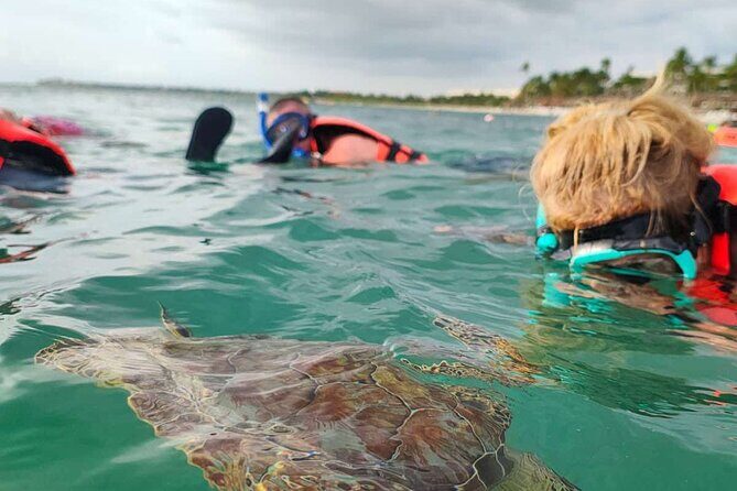 Cenote and Swimming with Turtles Private Tour in Akumal - Cenote Taak Bi Ha: underground swimming in Parque Dos Ojos
