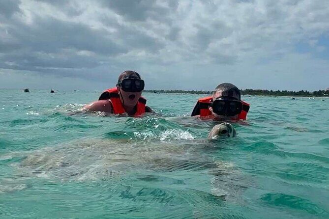 Cenote and Swimming with Turtles Private Tour in Akumal - Akumal Bay: guided snorkeling with sea turtles and reef views