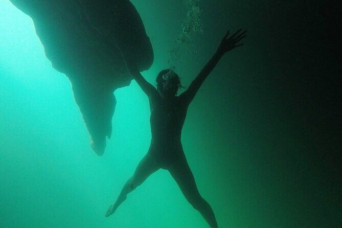 Cenote Cancun Experience with Transportation Included & Lunch - Lunch Break: Cochinita Tacos or Vegan Snack With Water