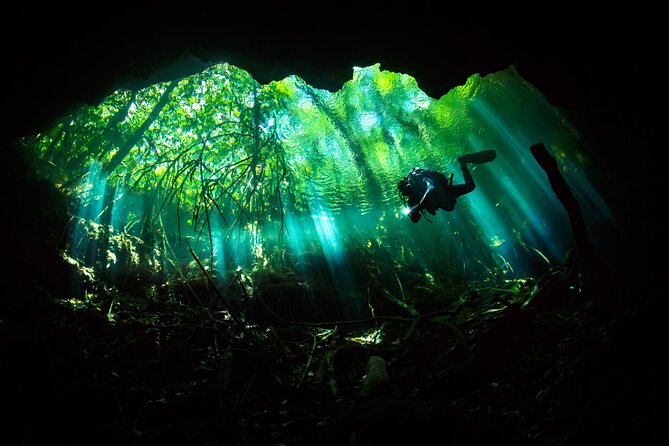 Cenote Diving - 2 Tank Dive Trip for Certified Divers - Picking the Cenote Day: Chac Mool vs Dos Ojos