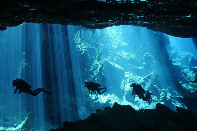 Cenote Diving - 2 Tank Dive Trip for Certified Divers - First Underwater Session: 45 Minutes, Up to 50 Feet