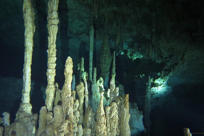 Cenote diving Dream Gate - Key Things to Know Before You Go