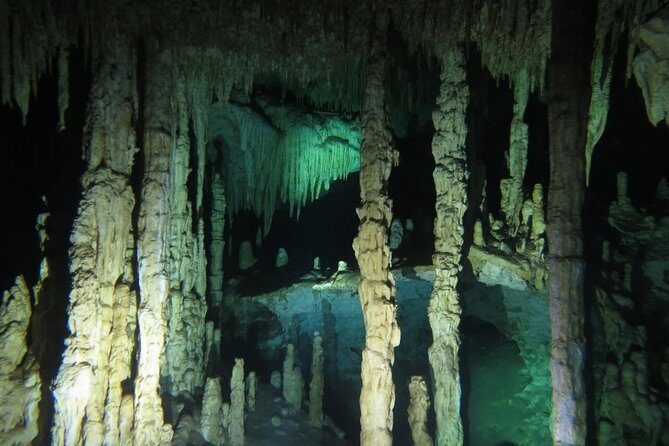 Cenote diving Dream Gate - Upstream vs Downstream: Two Different Ways to See the Same Cenote