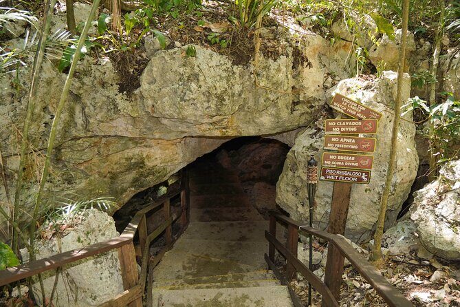 Cenote Expedition: Discover 3 Secret Cenotes with Mayan ritual - Who this tour suits best