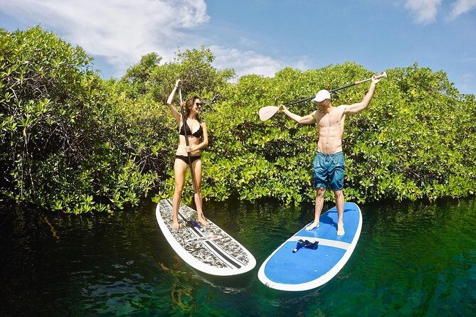 Cenote Paddleboarding and Snorkeling in Tulum - Snorkeling between the mangroves
