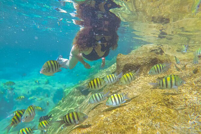Cenote; Snorkeling and Photos with Colorful Fish - What’s Included: Snorkeling Gear, Lagoon Access, and GoPro Photos