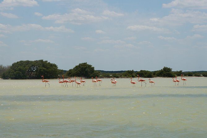 Cenote Suytun & Rio Lagartos & Las Coloradas - Paolina’s Private-Guide Style: Photos, Culture Notes, and Real Attention