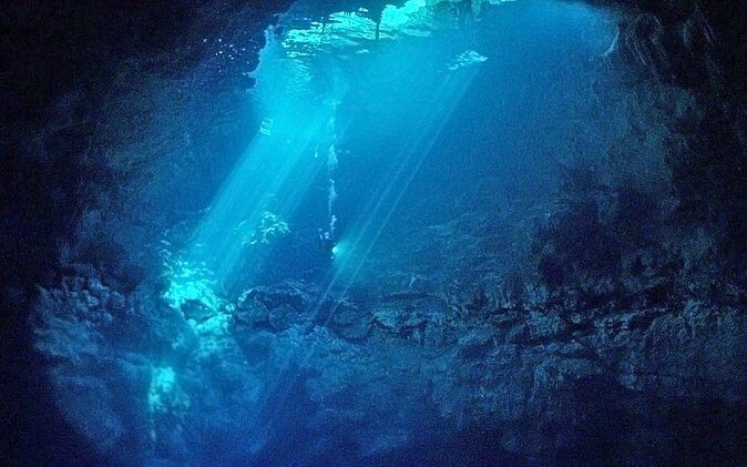 Cenotes 2-Tank Dive in Playa del Carmen/for certified divers only - Starting with Scuba Libre: logistics that matter on day one