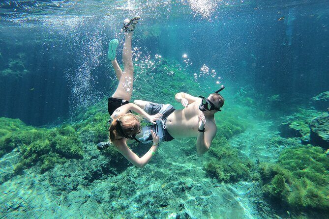 Cenotes by Bike and Mayan Cooking Class Half-Day Guided Tour - Starting at 9:30: The Cooking Begins Before You Even Splash